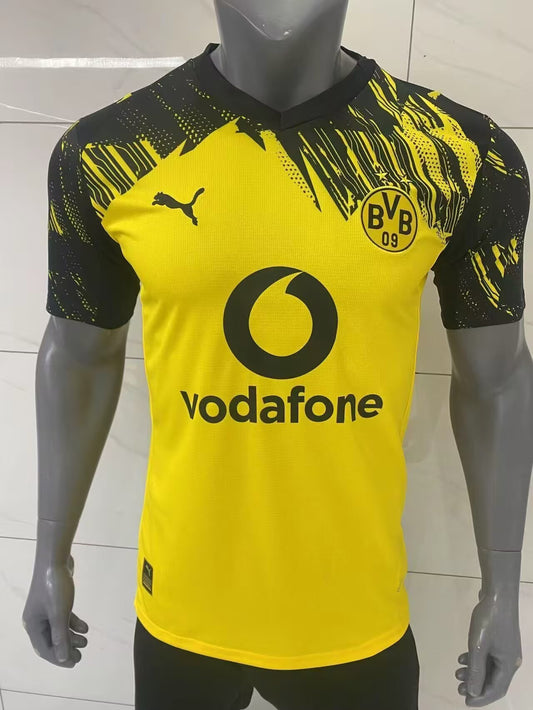 Borussia Dortmund 25/26 Local